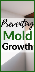 Preventing Mold Growth - Bath Fan Review